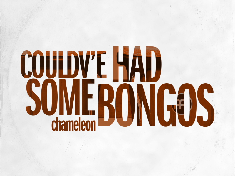 Could've had some bongos (Single)