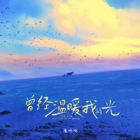 曾经温暖我的光 (Single)