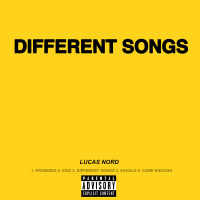 Different Songs (Single)