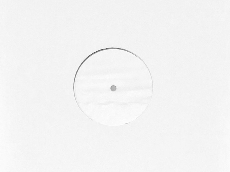 CACTUS FLOWERS (Remix) (EP)