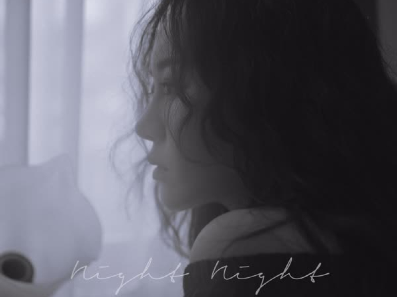 Night Night (Single)