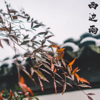 西边雨 (Single)