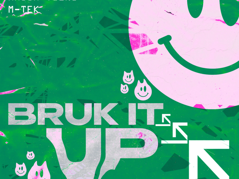 Bruk It Up (Kleu Remix) (Single)