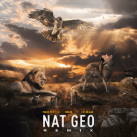 Nat Geo (Remix) (Single)