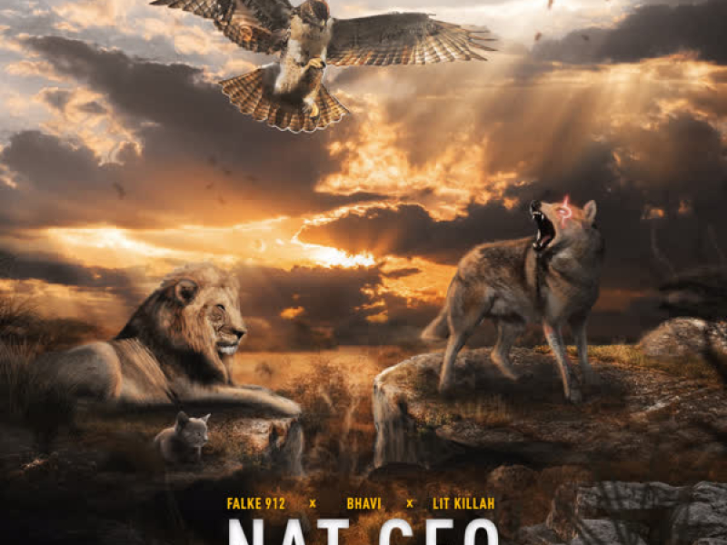 Nat Geo (Remix) (Single)