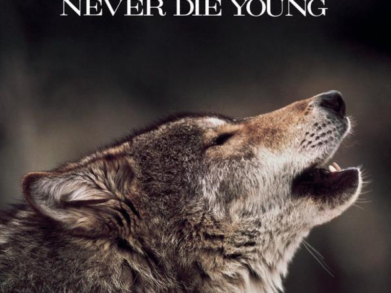Never Die Young