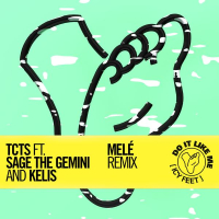 Do It Like Me (Icy Feet) (Melé Remix) (Single)
