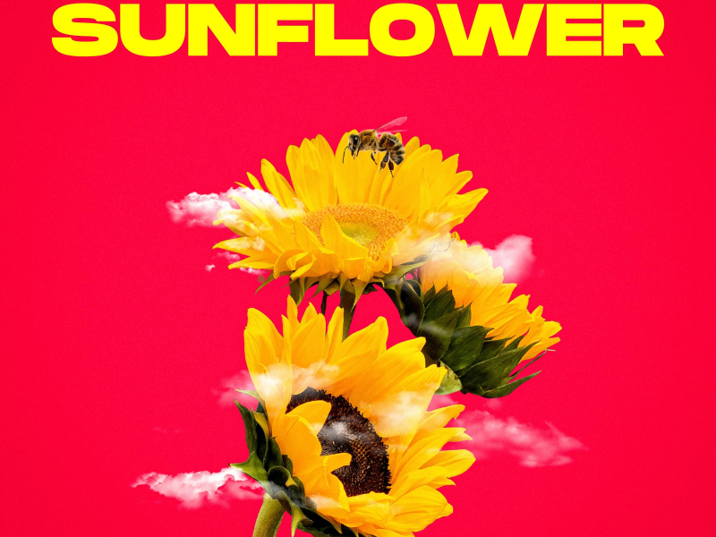 Sunflower (Hardstyle) (Single)