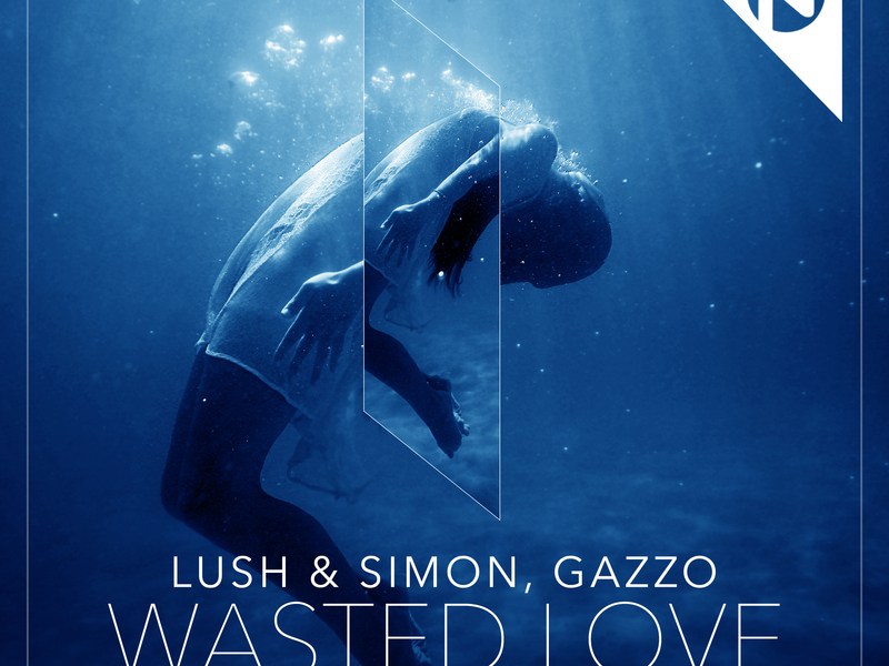 Wasted Love