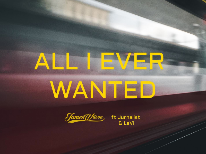 All I Ever Wanted (feat. Jurnalist & LeVi) (Single)