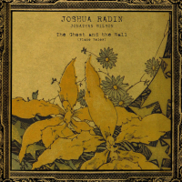 The Ghost and the Wall (Piano Solos) (EP)