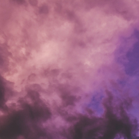 是我爱的太蠢太过天真 (Single)