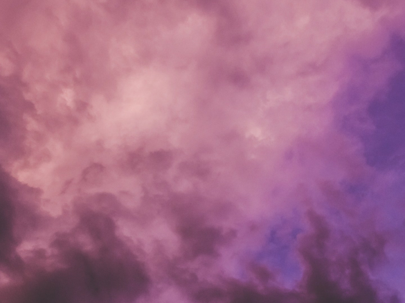 是我爱的太蠢太过天真 (Single)