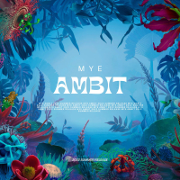 Ambit (Single)