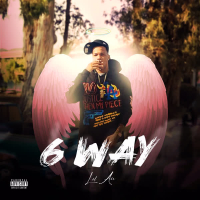 6 Way (Single)