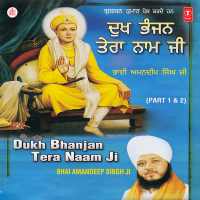 Dukh Bhanjan Tera Naam Ji Part-2 Vol-39 (Single)