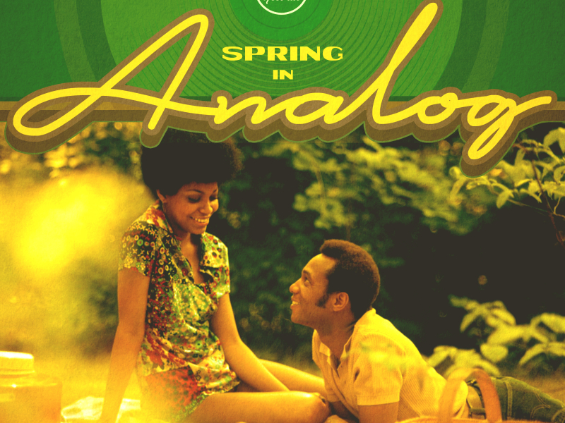 Spring In Analog: Season 2