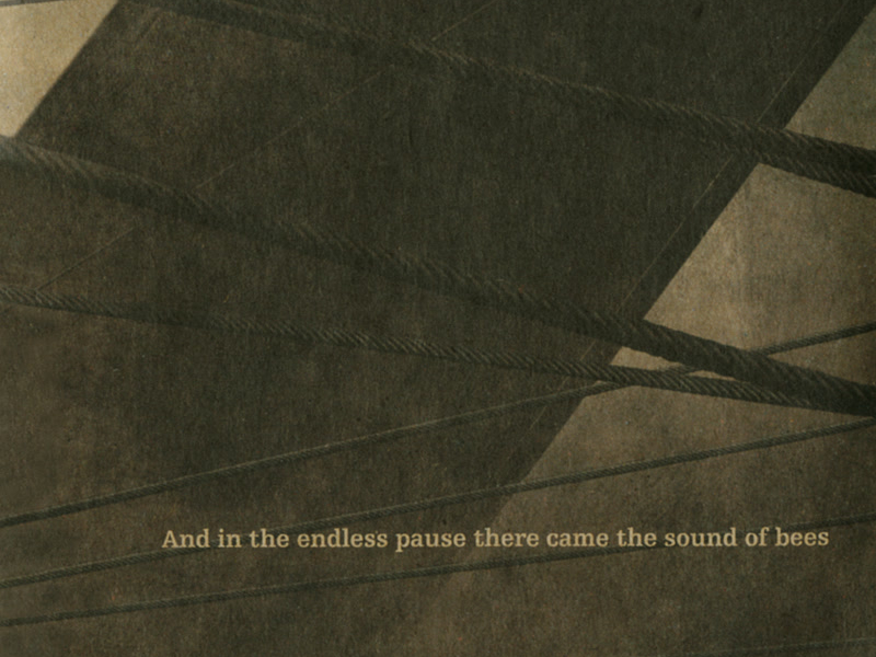 And In The Endless Pause There Came The Sound Of Bees (Original Soundtrack)