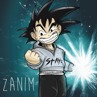 Zanim (Single)
