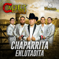 Chaparrita Enlutadita (Single)