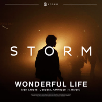 Wonderful Life (Single)