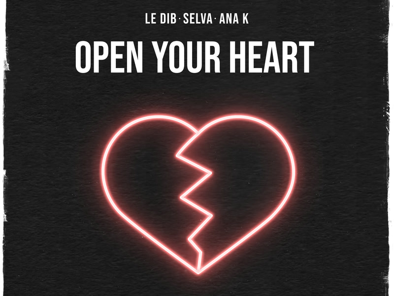 Open Your Heart (Single)