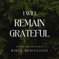 I will remain grateful (Bible Meditation)