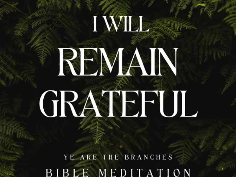I will remain grateful (Bible Meditation)