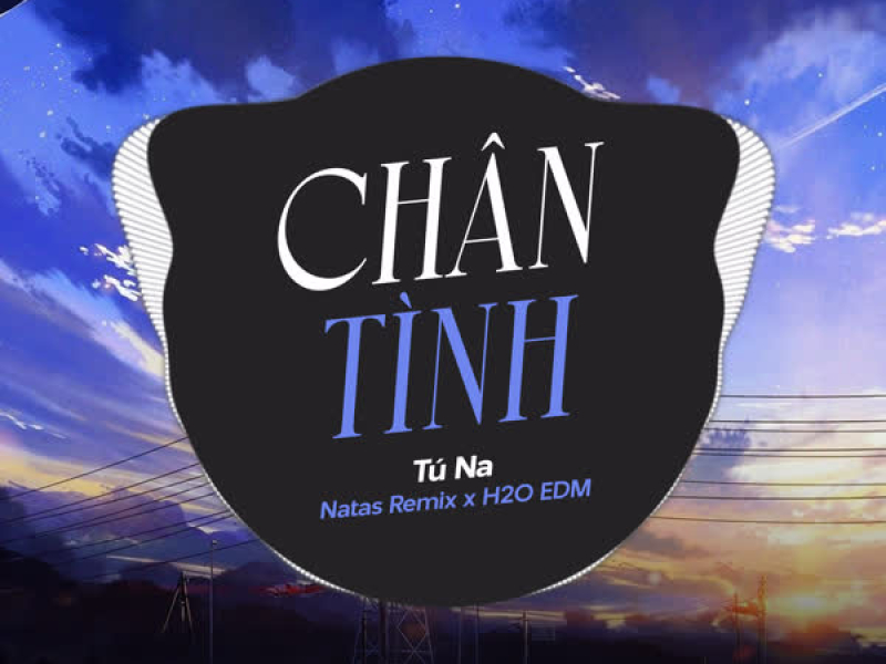 Chân Tình (EDM) (Single)