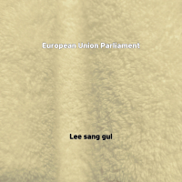 European Union Parliament