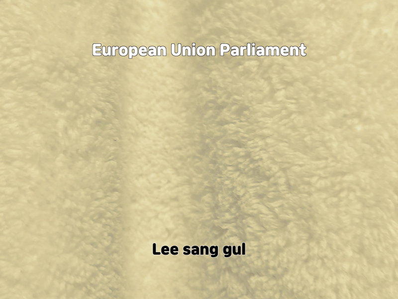 European Union Parliament
