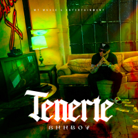 Tenerte (Single)