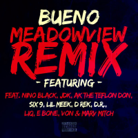 Meadowview (feat. Nino Black, Jdk, Ak the Teflon Don, Six 9, Lil Meek, D Rek, D.R., Liq, E Bone, Von, Marv Mitch) [Remix] (Single)