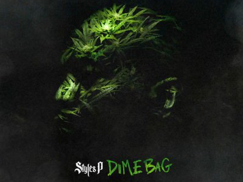 Never Fight An African (Single)