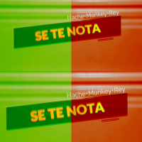 Se Te Nota (Single)