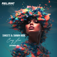 Crazy Love (Extended Mix) (Single)