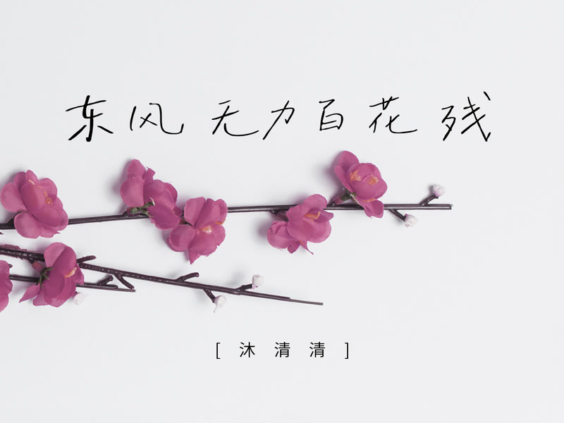 Soft wind can destroy flowers (Single)