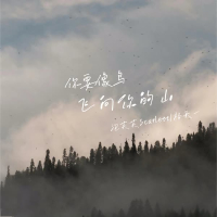 你要像鸟飞向你的山 (Single)