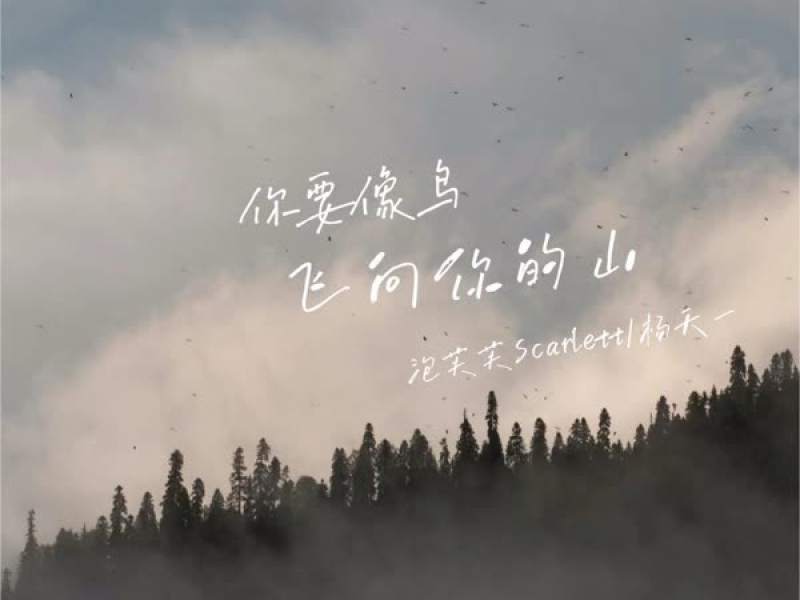 你要像鸟飞向你的山 (Single)