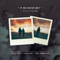 If We Never Met (Single)