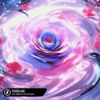 Stereo Love (Single)