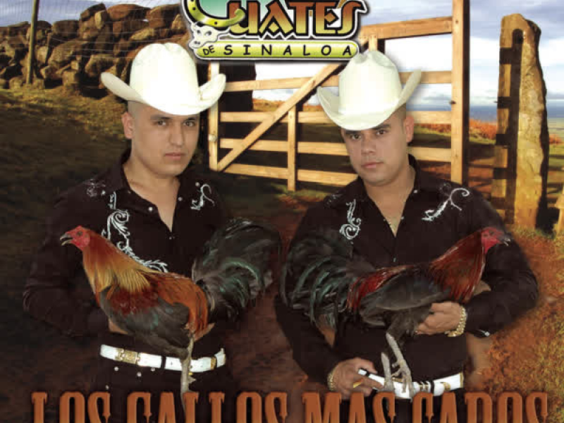 Los Gallos Más Caros