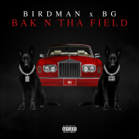 BAK N THA FIELD (Single)