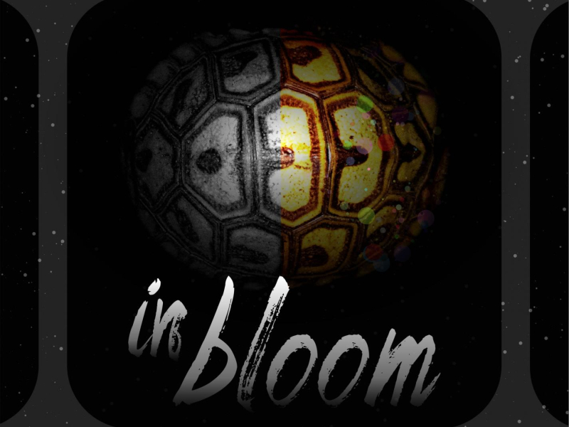 In Bloom (Single)