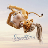 Sweetner (Single)