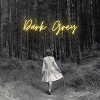 Dark Grey (Single)