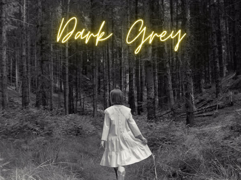 Dark Grey (Single)