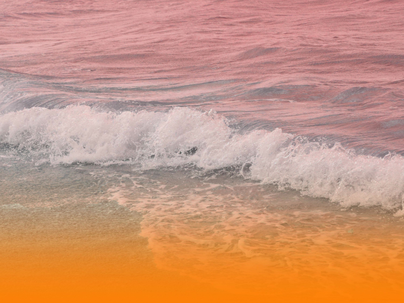 Gentle Ambient Music For Daily Wellness And Mental Clarity (Single)