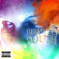 Birds Fly South (Single)