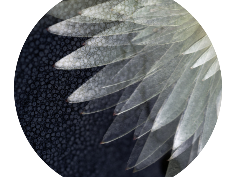 Ambient Re: Works 01